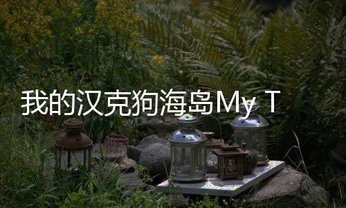 我的汉克狗海岛My Talking Hank: Islands官方版最新版下载