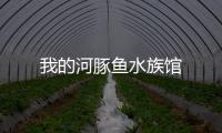 我的河豚鱼水族馆
