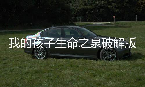 我的孩子生命之泉破解版下载