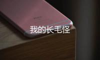 我的长毛怪