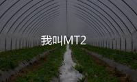 我叫MT2