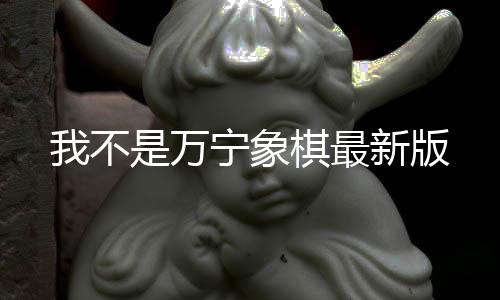我不是万宁象棋最新版下载
