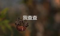 我查查