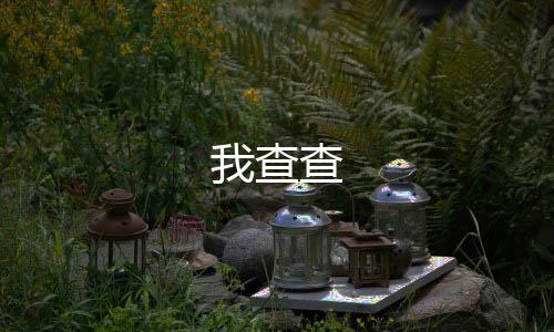 我查查下载