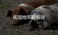 戒指地牢破解版