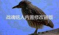 战魂铭人内置修改器版