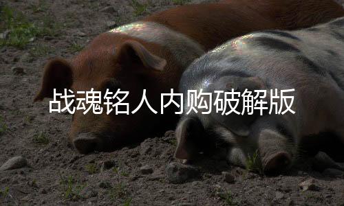 战魂铭人内购破解版下载