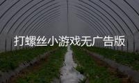 打螺丝小游戏无广告版