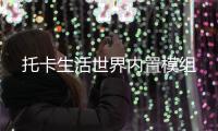 托卡生活世界内置模组