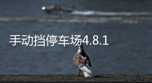 手动挡停车场4.8.15.1破解版下载