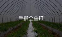 手指全垒打