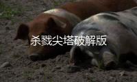 杀戮尖塔破解版