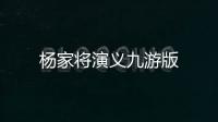 杨家将演义九游版