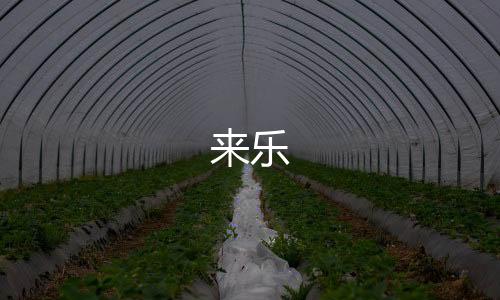 来乐下载