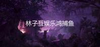 林子互娱乐鸿捕鱼