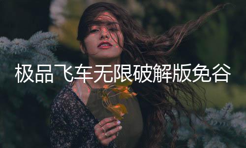 极品飞车无限破解版免谷歌下载
