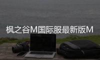 枫之谷M国际服最新版MapleStoryM