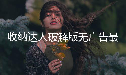 收纳达人破解版无广告最新版下载