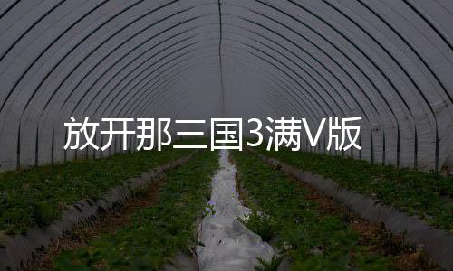 放开那三国3满V版下载