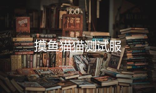 摸鱼猫猫测试服下载