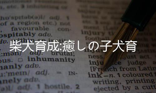 柴犬育成:癒しの子犬育成ゲーム〜柴犬編〜下载