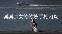 某某宗女修修炼手札内购版