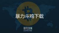 暴力斗鸡下载