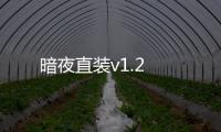 暗夜直装v1.2