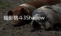 暗影格斗3Shadow Fight 3更新版