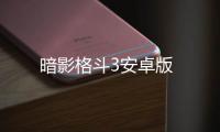 暗影格斗3安卓版