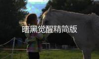 暗黑觉醒精简版