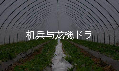 机兵与龙機ドラ下载