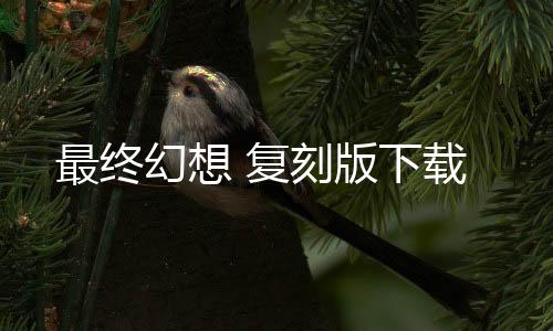 最终幻想 复刻版下载下载