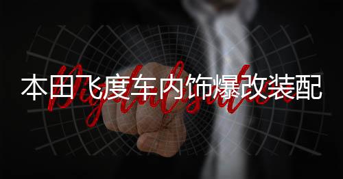 本田飞度车内饰爆改装配件装饰汽车用品门槛条迎宾踏板后备箱护板下载