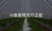 斗鱼直播官方正版