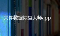 文件数据恢复大师app 1.1.0