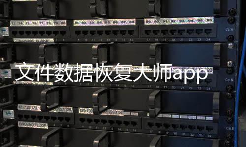 文件数据恢复大师app 1.1.0下载