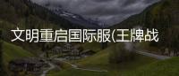 文明重启国际服(王牌战争)