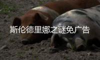 斯伦德里娜之谜免广告