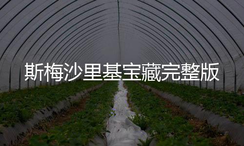 斯梅沙里基宝藏完整版下载