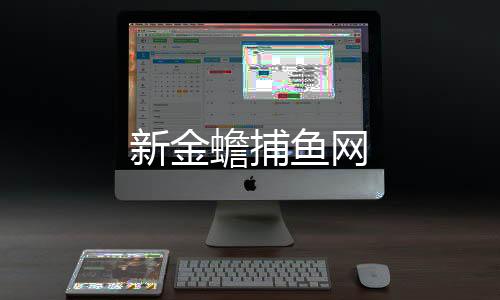 新金蟾捕鱼网下载