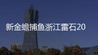新金蟾捕鱼浙江雷石2024