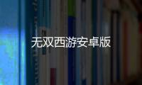 无双西游安卓版