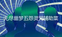 无尽噩梦五怨灵咒辅助菜单版