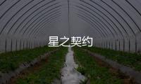 星之契约