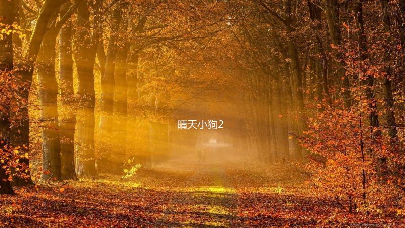 晴天小狗2下载