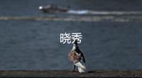 晓秀