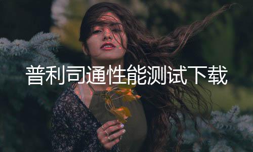 普利司通性能测试下载下载