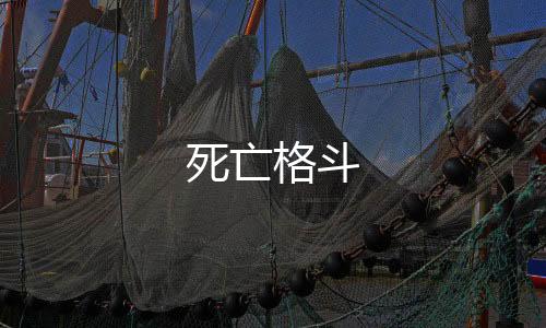 死亡格斗下载