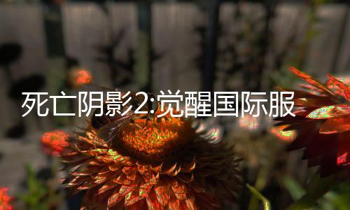 死亡阴影2:觉醒国际服下载